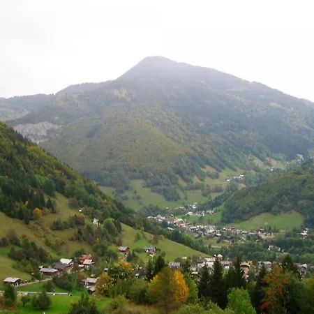 Apartment Location 2 Pieces Mezzanine A Saint-jean-d'aulps, Pied De Pistes, Parking, Animaux Admis - Fr-1-573-29