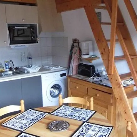 Apartment Location 2 Pieces Mezzanine A Saint-jean-d'aulps, Pied De Pistes, Parking, Animaux Admis - Fr-1-573-29 *